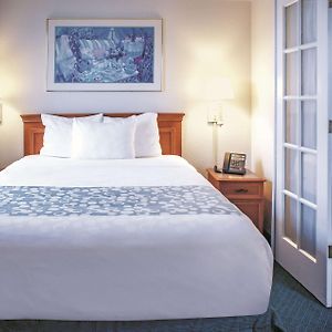 Deluxe Queen Room Sofa Bed